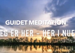 meditation guidet